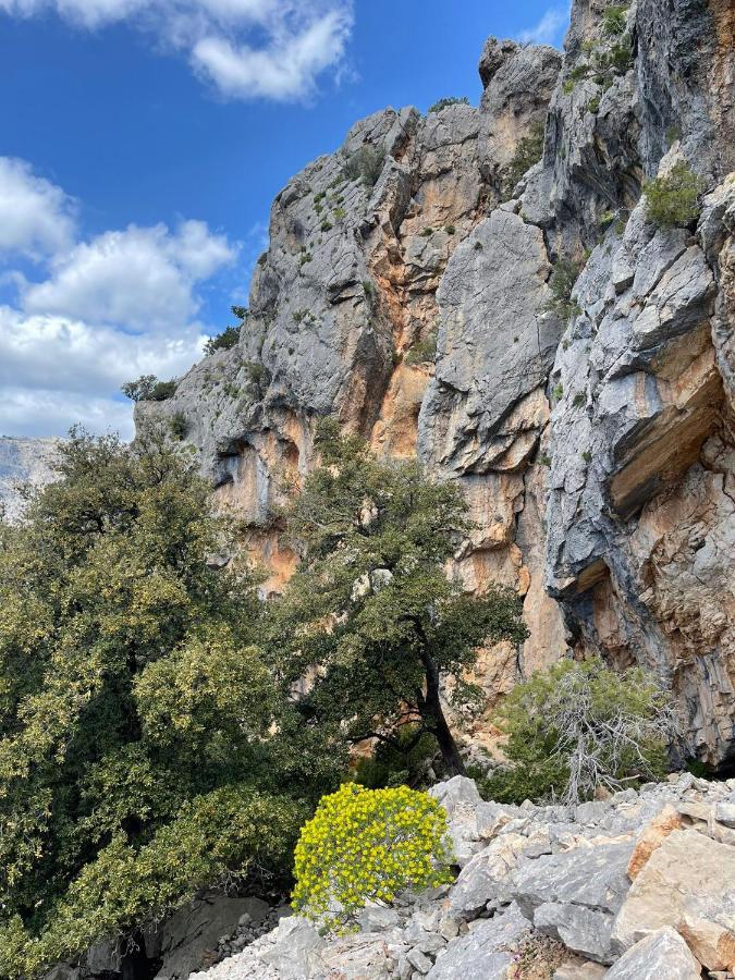 Casa Vacanze Sa Piazza Apartment Dorgali Bagian luar foto